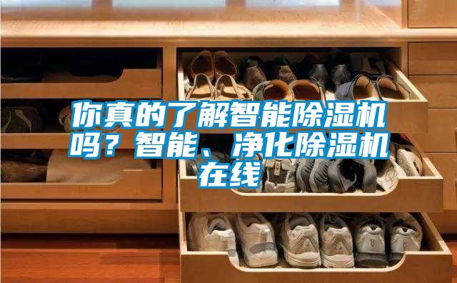 你真的了解智能除濕機嗎？智能、凈化除濕機在線