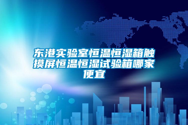 東港實驗室恒溫恒濕箱觸摸屏恒溫恒濕試驗箱哪家便宜