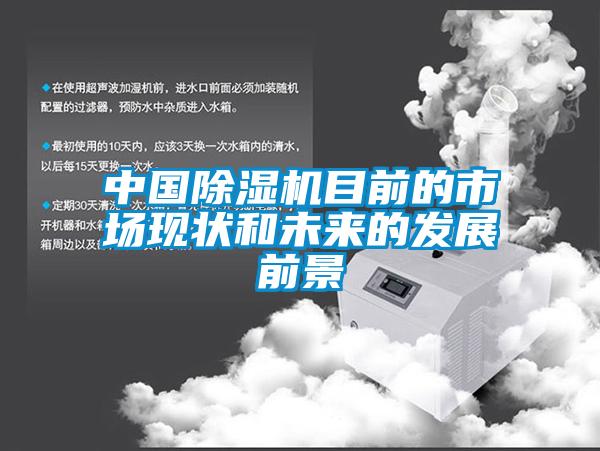 中國除濕機(jī)目前的市場(chǎng)現(xiàn)狀和未來的發(fā)展前景