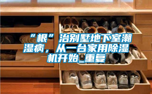 “根”治別墅地下室潮濕病，從一臺(tái)家用除濕機(jī)開(kāi)始_重復(fù)