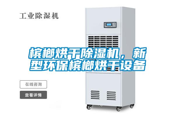 檳榔烘干除濕機，新型環(huán)保檳榔烘干設(shè)備
