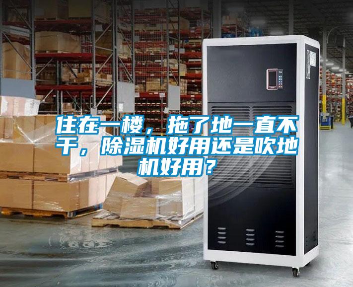 住在一樓，拖了地一直不干，除濕機(jī)好用還是吹地機(jī)好用？