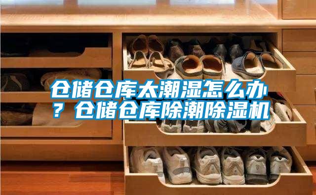 倉儲倉庫太潮濕怎么辦？倉儲倉庫除潮除濕機(jī)