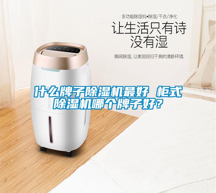 什么牌子除濕機最好 柜式除濕機哪個牌子好？