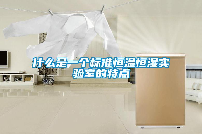 什么是一個標(biāo)準(zhǔn)恒溫恒濕實驗室的特點