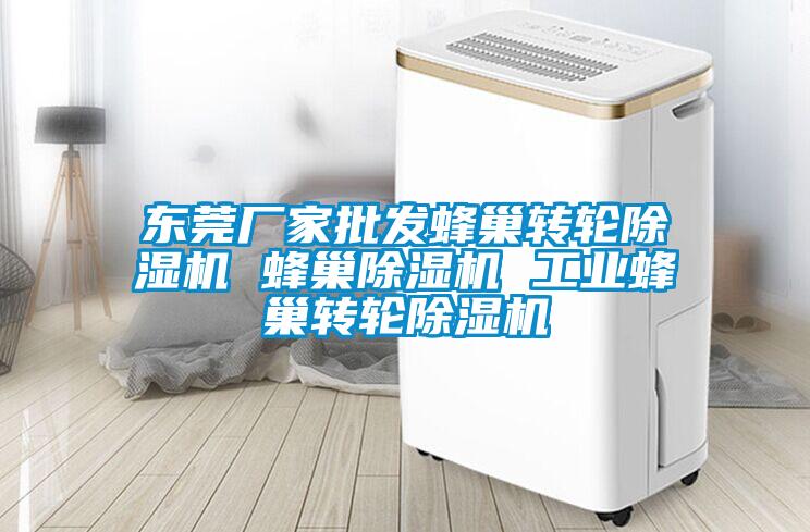 東莞廠家批發(fā)蜂巢轉輪除濕機 蜂巢除濕機 工業(yè)蜂巢轉輪除濕機