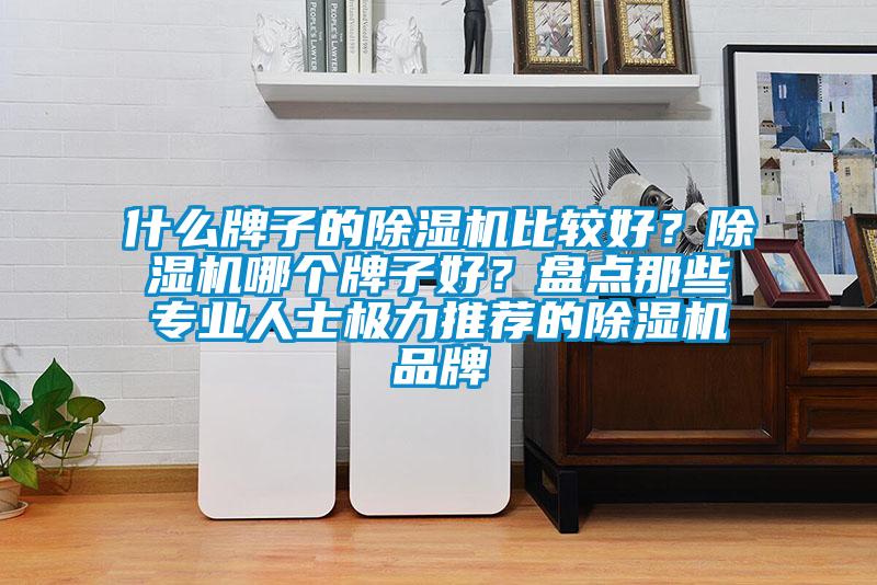 什么牌子的除濕機(jī)比較好？除濕機(jī)哪個牌子好？盤點那些專業(yè)人士極力推薦的除濕機(jī)品牌