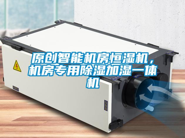 原創(chuàng)智能機房恒濕機，機房專用除濕加濕一體機