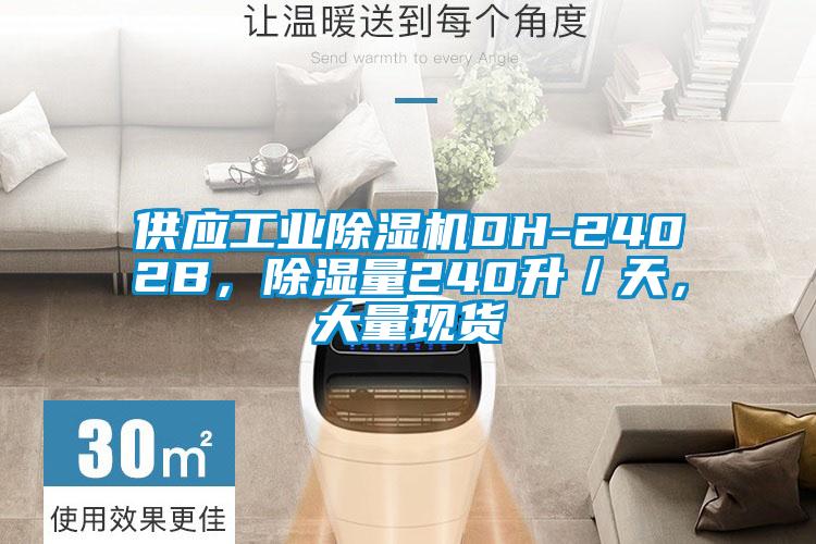 供應(yīng)工業(yè)除濕機(jī)DH-2402B，除濕量240升／天，大量現(xiàn)貨