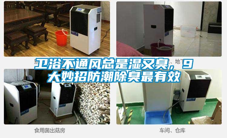 衛(wèi)浴不通風總是濕又臭，9大妙招防潮除臭最有效