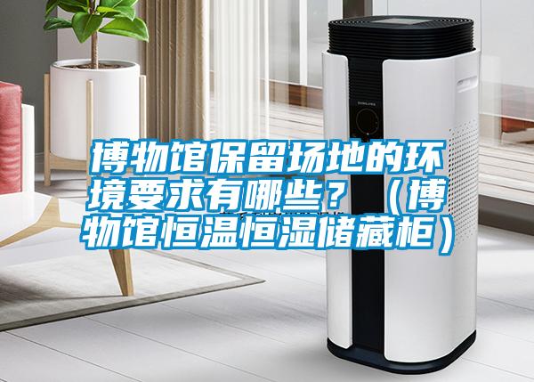博物館保留場地的環(huán)境要求有哪些？（博物館恒溫恒濕儲藏柜）