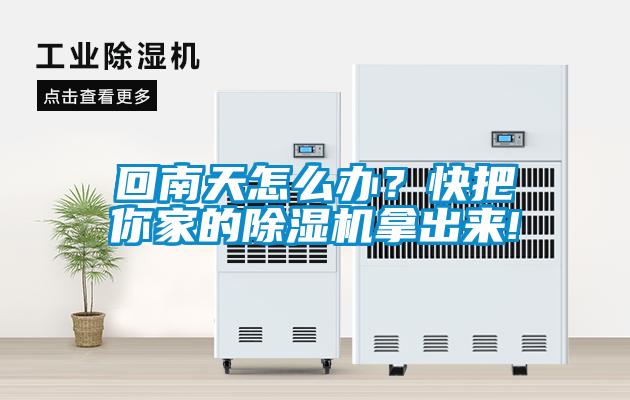 回南天怎么辦？快把你家的除濕機(jī)拿出來(lái)!