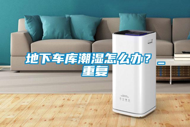 地下車庫(kù)潮濕怎么辦？_重復(fù)
