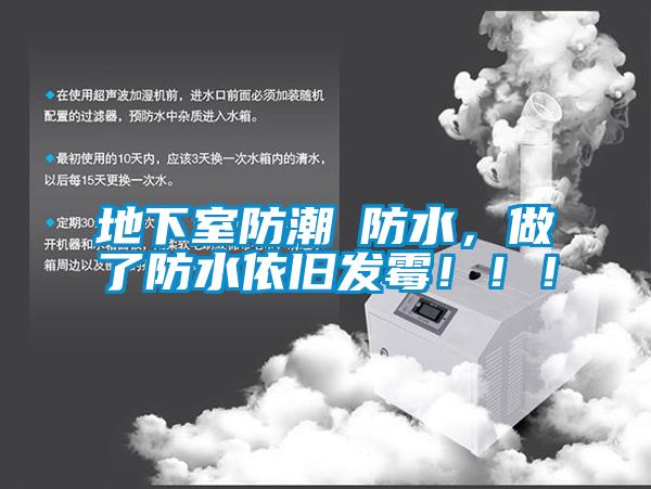 地下室防潮≠防水，做了防水依舊發(fā)霉?。?！
