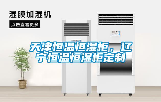 天津恒溫恒濕柜，遼寧恒溫恒濕柜定制