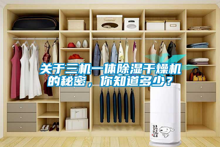 關(guān)于三機一體除濕干燥機的秘密，你知道多少？