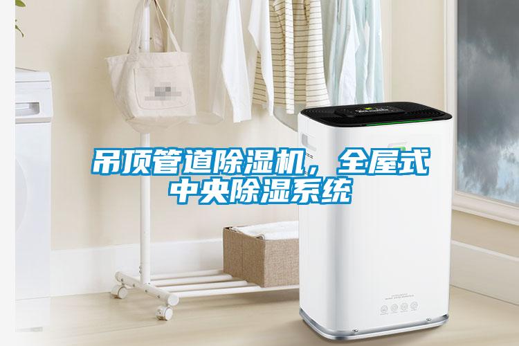 吊頂管道除濕機(jī)，全屋式中央除濕系統(tǒng)