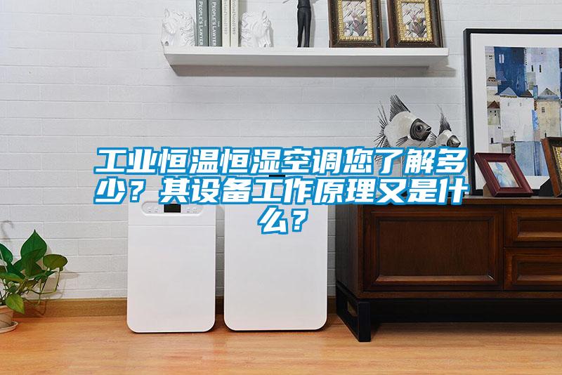 工業(yè)恒溫恒濕空調(diào)您了解多少？其設(shè)備工作原理又是什么？