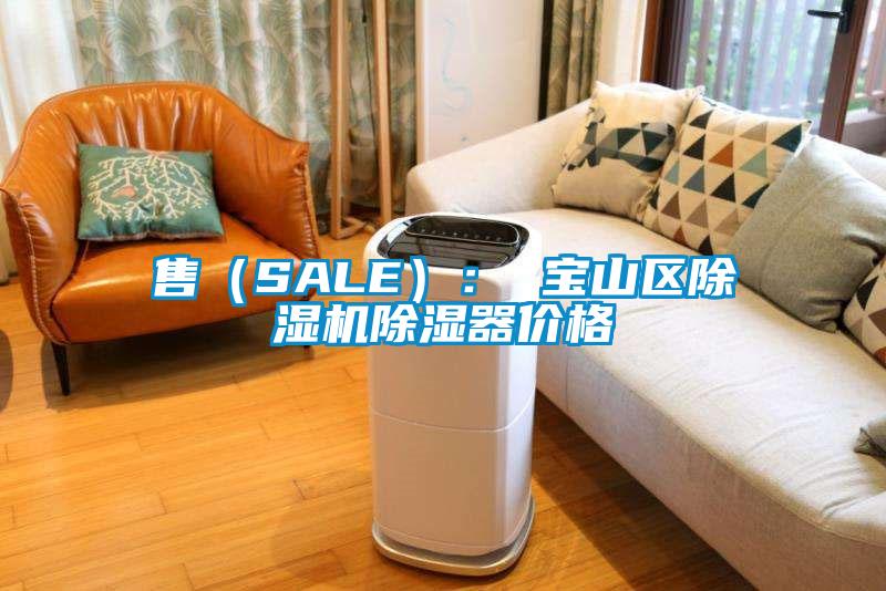 售（SALE）： 寶山區(qū)除濕機(jī)除濕器價格