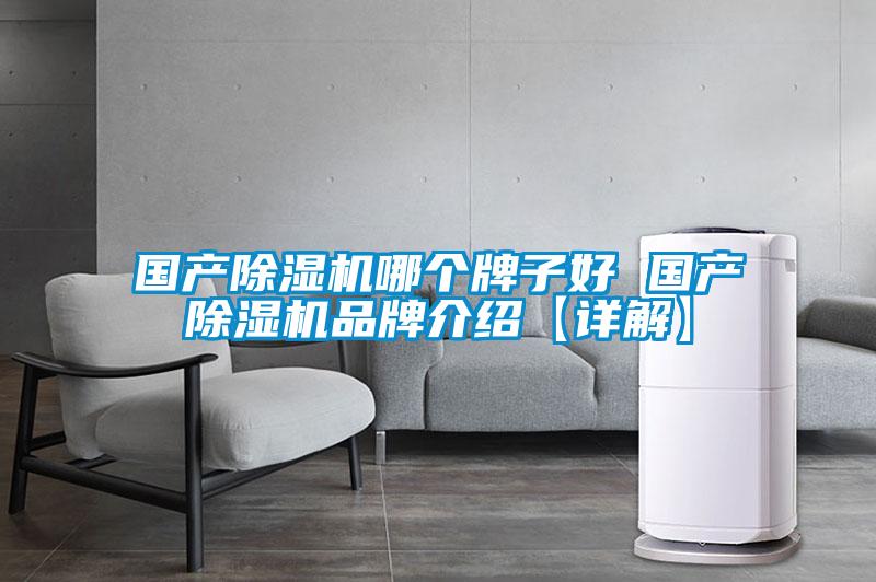 國產(chǎn)除濕機哪個牌子好 國產(chǎn)除濕機品牌介紹【詳解】