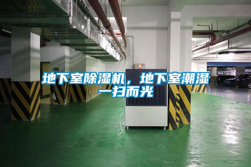 地下室除濕機，地下室潮濕一掃而光
