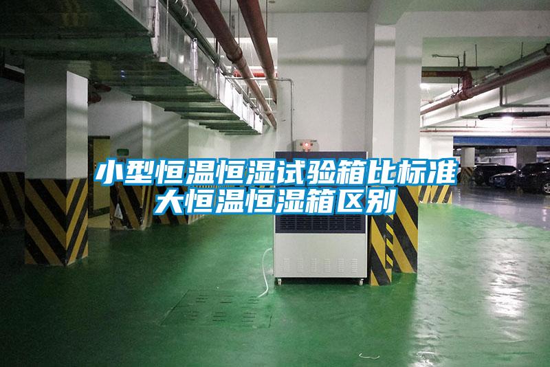 小型恒溫恒濕試驗箱比標(biāo)準(zhǔn)大恒溫恒濕箱區(qū)別