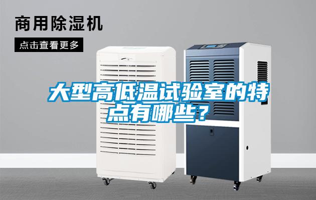 大型高低溫試驗室的特點有哪些？