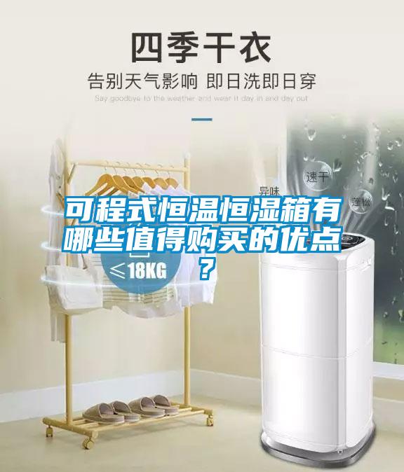 可程式恒溫恒濕箱有哪些值得購買的優(yōu)點？