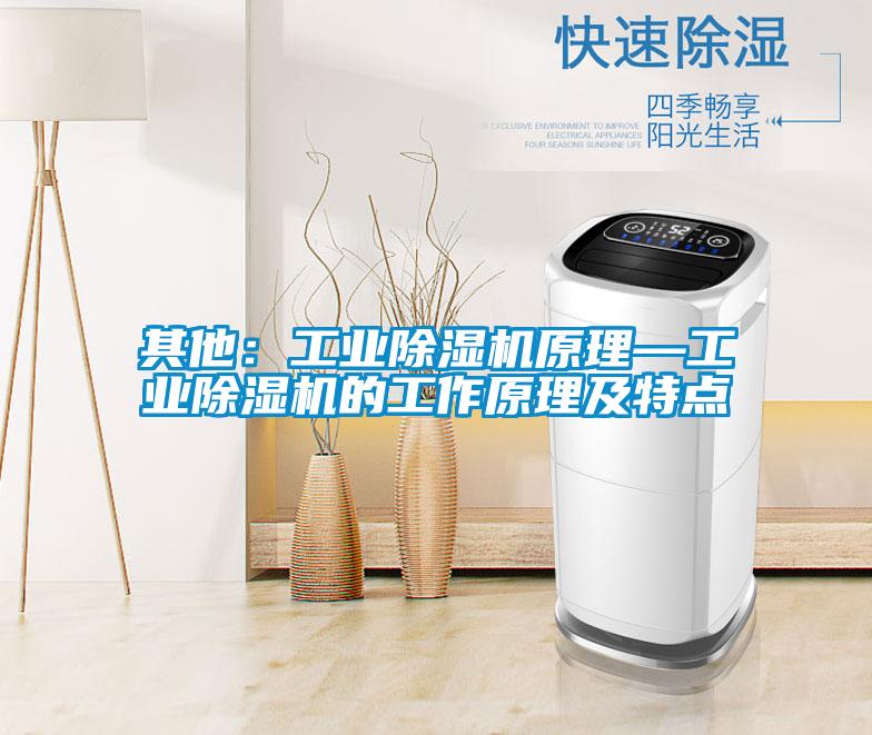 其他：工業(yè)除濕機(jī)原理—工業(yè)除濕機(jī)的工作原理及特點