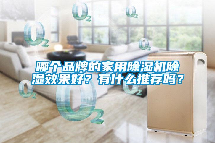 哪個品牌的家用除濕機除濕效果好？有什么推薦嗎？