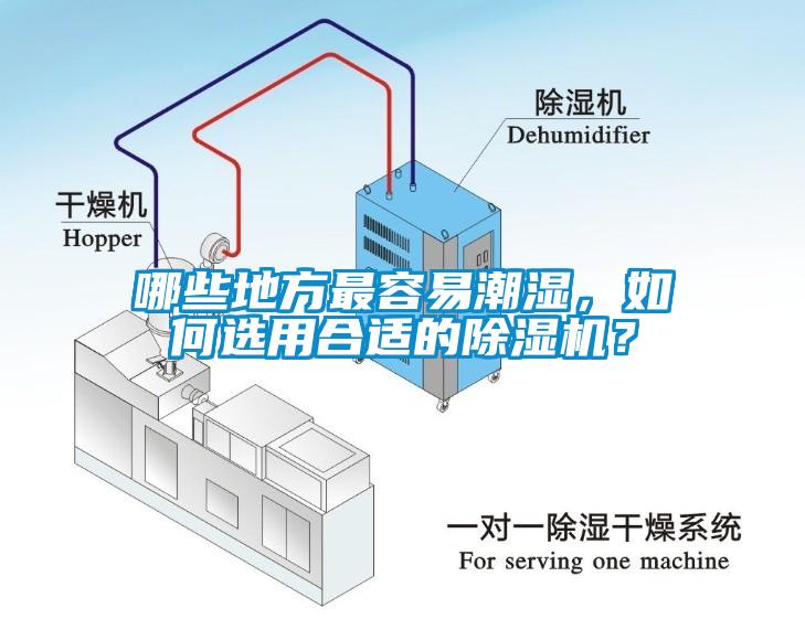 哪些地方最容易潮濕，如何選用合適的除濕機？