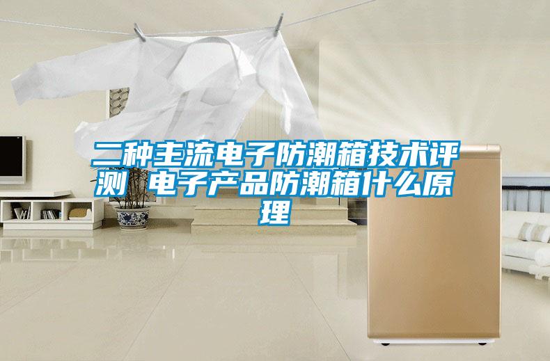 二種主流電子防潮箱技術(shù)評(píng)測(cè) 電子產(chǎn)品防潮箱什么原理