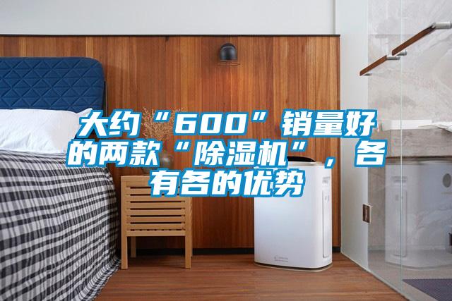大約“600”銷量好的兩款“除濕機(jī)”，各有各的優(yōu)勢