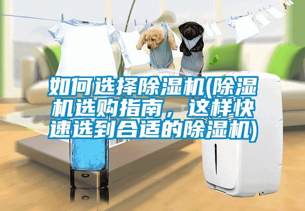 如何選擇除濕機(jī)(除濕機(jī)選購指南，這樣快速選到合適的除濕機(jī))