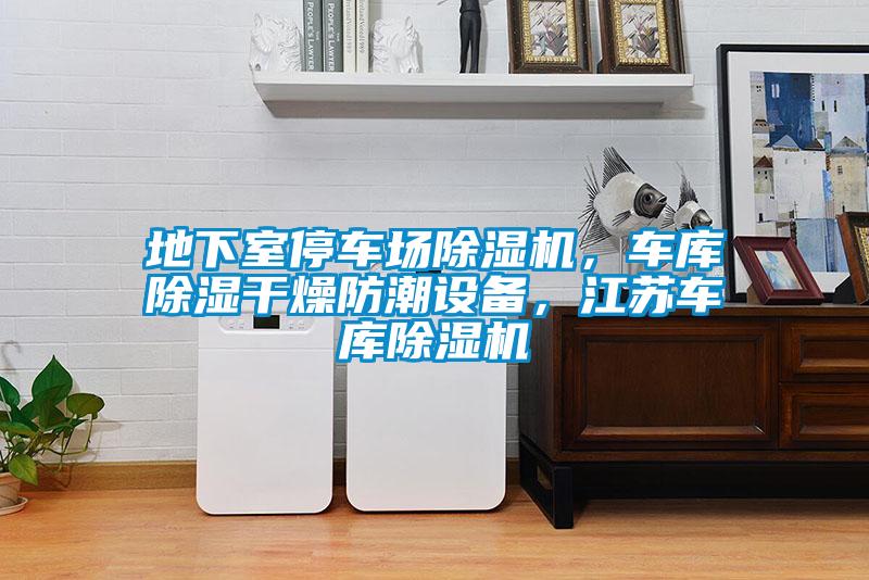地下室停車場(chǎng)除濕機(jī)，車庫(kù)除濕干燥防潮設(shè)備，江蘇車庫(kù)除濕機(jī)