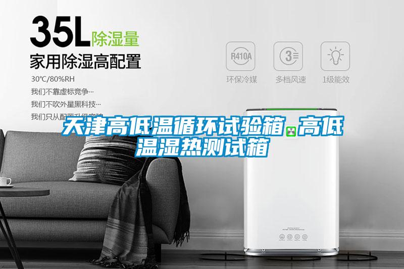 天津高低溫循環(huán)試驗(yàn)箱 高低溫濕熱測試箱