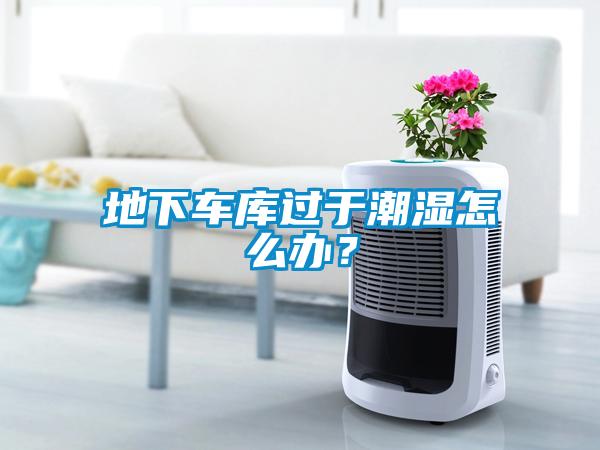 地下車庫過于潮濕怎么辦？
