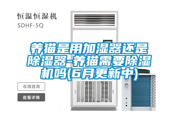 養(yǎng)貓是用加濕器還是除濕器-養(yǎng)貓需要除濕機嗎(6月更新中)