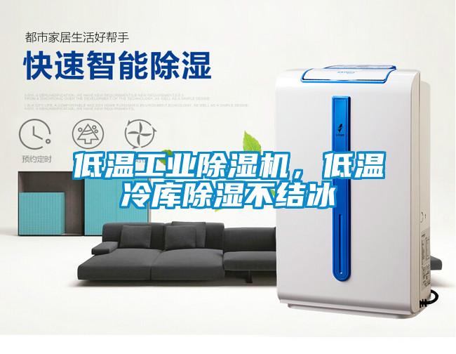 低溫工業(yè)除濕機(jī)，低溫冷庫除濕不結(jié)冰