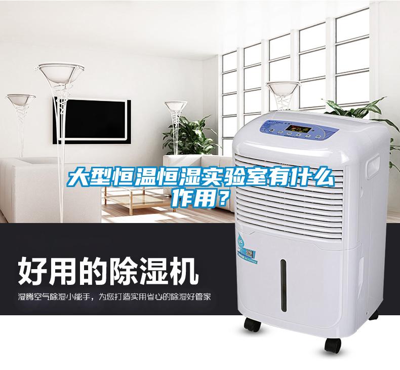 大型恒溫恒濕實驗室有什么作用？