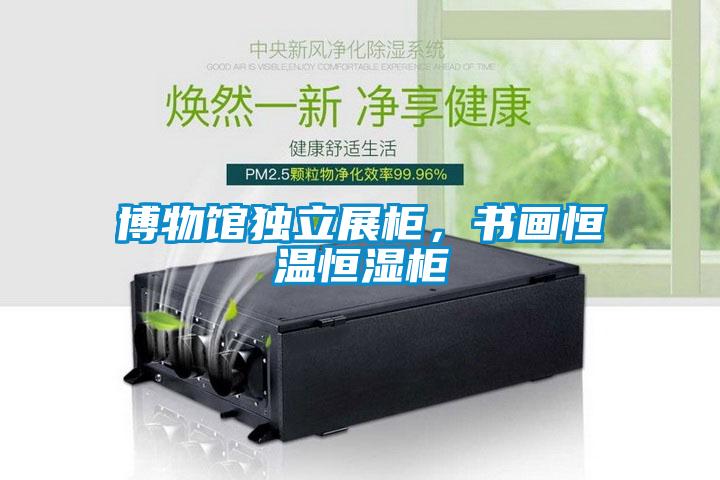 博物館獨立展柜，書畫恒溫恒濕柜
