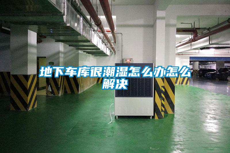 地下車庫(kù)很潮濕怎么辦怎么解決