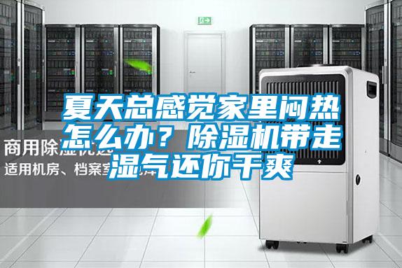夏天總感覺(jué)家里悶熱怎么辦？除濕機(jī)帶走濕氣還你干爽