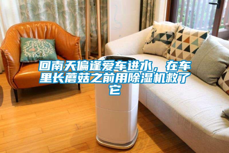 回南天偏逢愛(ài)車(chē)進(jìn)水，在車(chē)?yán)镩L(zhǎng)蘑菇之前用除濕機(jī)救了它
