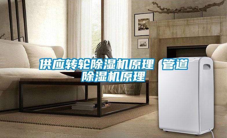 供應(yīng)轉(zhuǎn)輪除濕機原理 管道除濕機原理
