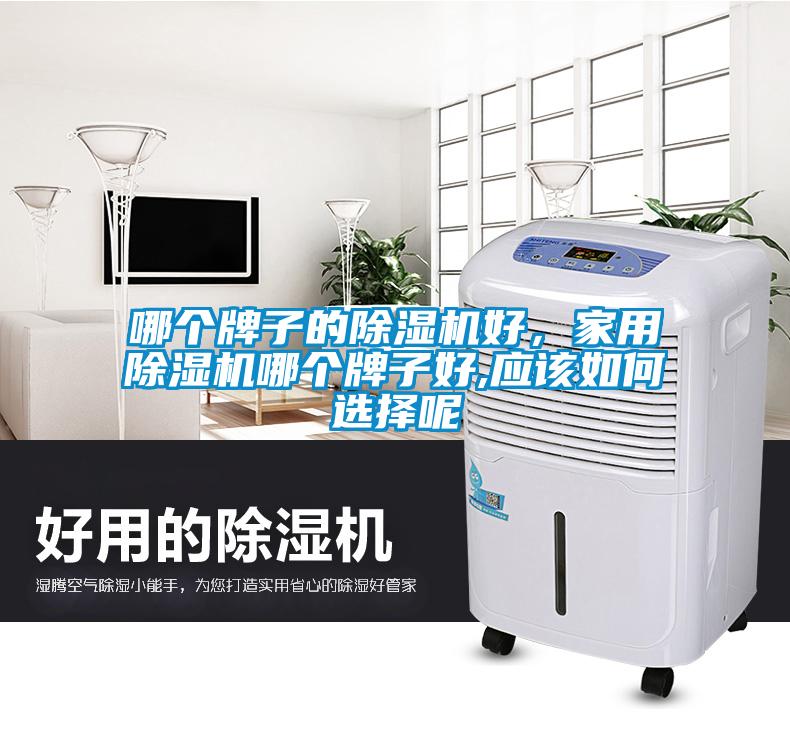 哪個(gè)牌子的除濕機(jī)好，家用除濕機(jī)哪個(gè)牌子好,應(yīng)該如何選擇呢
