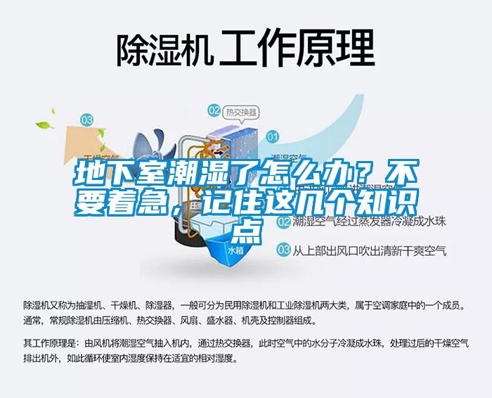 地下室潮濕了怎么辦？不要著急，記住這幾個知識點