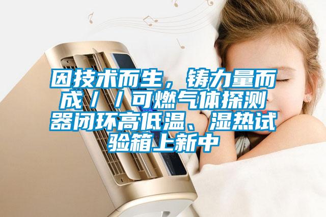 因技術(shù)而生，鑄力量而成／／可燃?xì)怏w探測器閉環(huán)高低溫、濕熱試驗(yàn)箱上新中