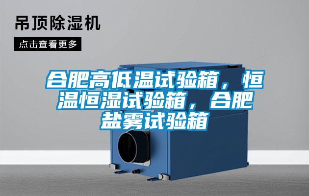 合肥高低溫試驗(yàn)箱，恒溫恒濕試驗(yàn)箱，合肥鹽霧試驗(yàn)箱