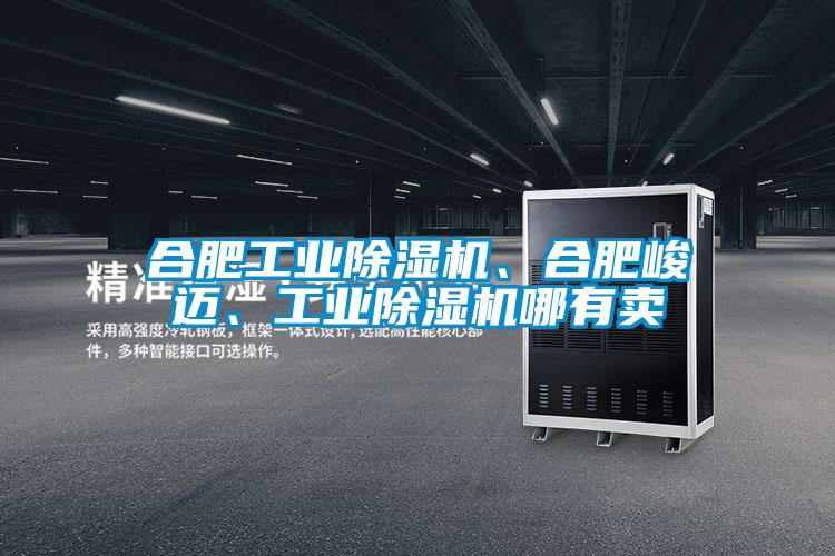 合肥工業(yè)除濕機(jī)、合肥峻邁、工業(yè)除濕機(jī)哪有賣